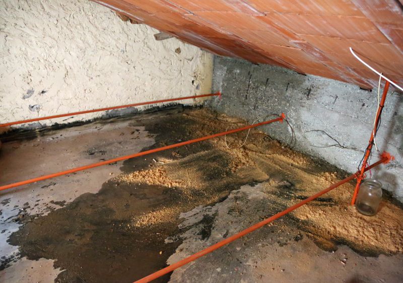 Water Damage Ceiling Repair in Denver, CO