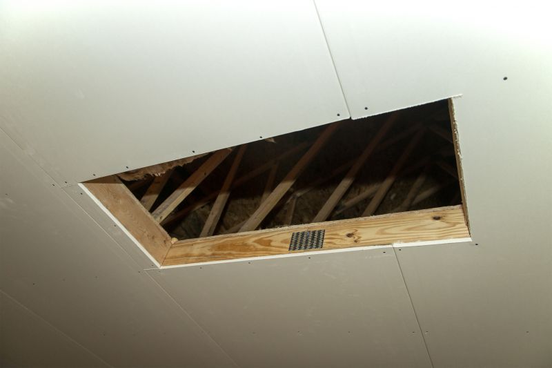 Attic Water Damage Repair in Houston, TX