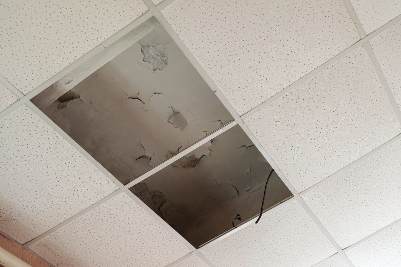 Leaking Ceiling Repair in Houston, TX