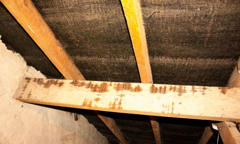 Water Damage Ceiling Repair in Katy, TX